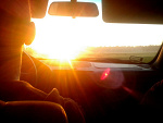 Fotoblog blooddye