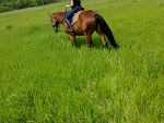 Fotoblog delawer62