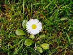 Fotoblog kingusiaaalove