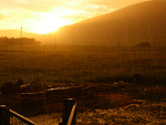 Fotoblog pelasia19