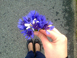 Fotoblog poppyseedbitch