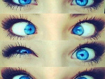 Fotoblog micha69