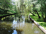 Fotoblog incydent219