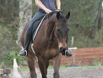 Fotoblog balyy