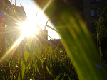 Fotoblog watsonek17