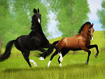 Fotoblog simcarmen