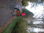 Fotoblog jakaro