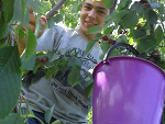 Fotoblog zieli95