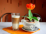 Fotoblog skieeerka
