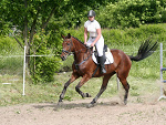 Fotoblog armastus17