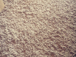 Fotoblog rafalfoto