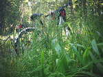 Fotoblog hotrain
