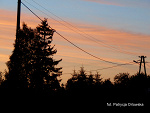 Fotoblog poziomkowa169