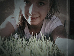Fotoblog strawberry2907