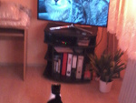 Fotoblog dominikaheheshky