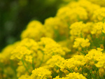 Fotoblog whereismyfood77