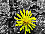 Fotoblog milka2106