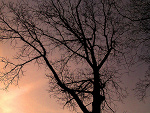 Fotoblog acid1