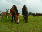 Fotoblog losxami18