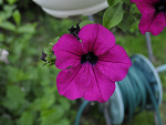 Fotoblog thismyword