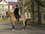 Fotoblog nadstajenna