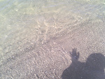 Fotoblog baffango