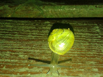 Fotoblog chceeciee