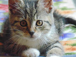 Fotoblog karolinaa080