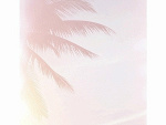 Fotoblog l0veisallowed