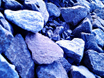 Fotoblog claudiaviola