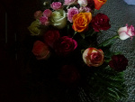 Fotoblog norisss