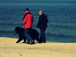 Fotoblog wezxtoxobczaj