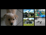 Fotoblog przyjaciele6