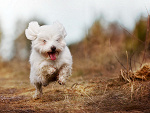 Fotoblog niliilin