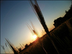 Fotoblog ogone
