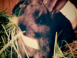 Fotoblog newphotograf