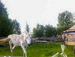 Fotoblog siwus1232
