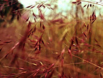 Fotoblog ruind