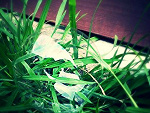 Fotoblog changeinlife12
