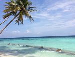 Fotoblog g0ld1e