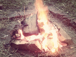 Fotoblog talktoyou