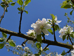 Fotoblog boguslawt
