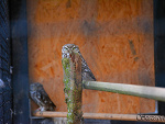 Fotoblog nikond5200