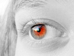 Fotoblog scorp11