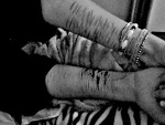 Fotoblog foraless1