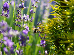 Fotoblog rurkowa