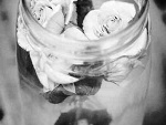 Fotoblog opisxxd