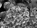 Fotoblog iamimperfect