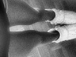 Fotoblog martyneekk