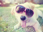 Fotoblog tokoo